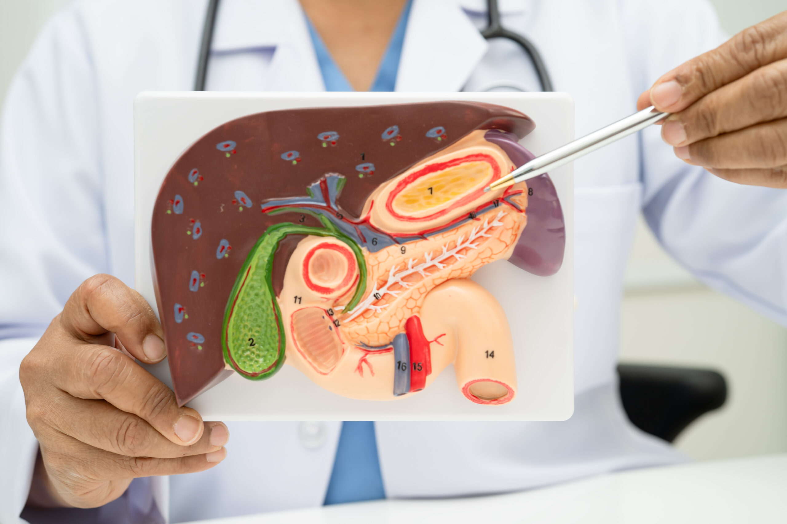 Gall bladder