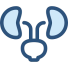 images__13_-removebg-preview